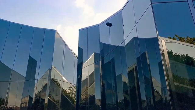 Жакаранда в Краснодаре! смотреть онлайн