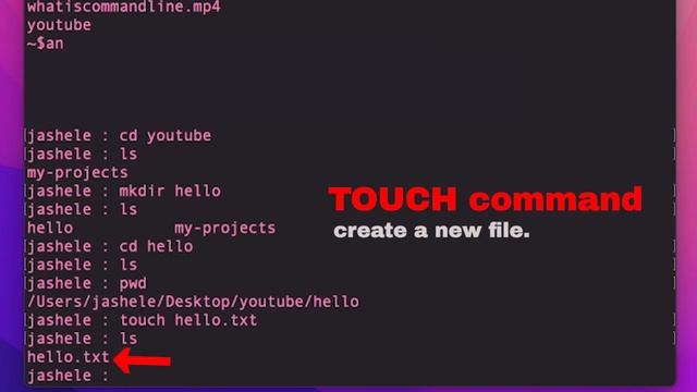Useful Terminal Commands & Git/GitHub