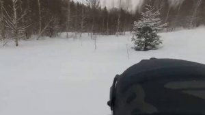 ЛайтПокатушки! Зима. Тропы зверей. Кабаньи тропы..mp4