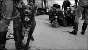 Наговицын Сергей - Разбитая судьба