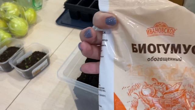 Продолжаем посев петунии ❤️❤️ смотреть онлайн