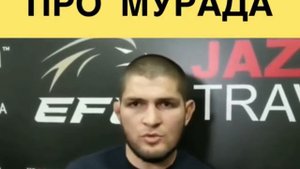 Хабиб жёстко про Мурада ответил Мурад пресс конференция Марат газует на Харуна
