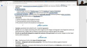 TA7 USMLE STEP 1: GIT 2 TRIAL LECTURE