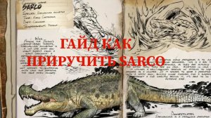 ГАЙД КАК ПРИРУЧИТЬ SARCO | ARK MOBILE