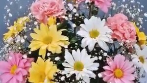 С ДНЕМ РОЖДЕНИЯ, И Я, И Я, И Я ПОЗДРАВЛЯЮ ТЕБЯ !!!