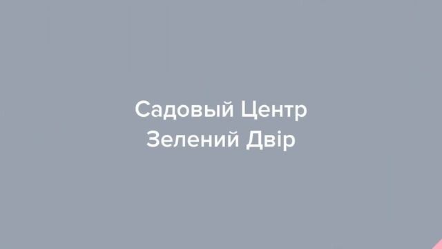 Садовый Центр Зелений Двір - Персик Сатурн ЗКС смотреть онлайн