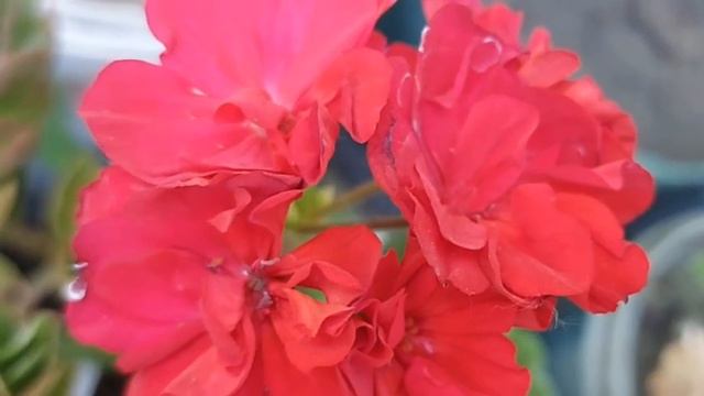 10 декабря Знамение Пресвятой Богородицы. Что нельзя делать в этот день. Народные приметы смотреть онлайн