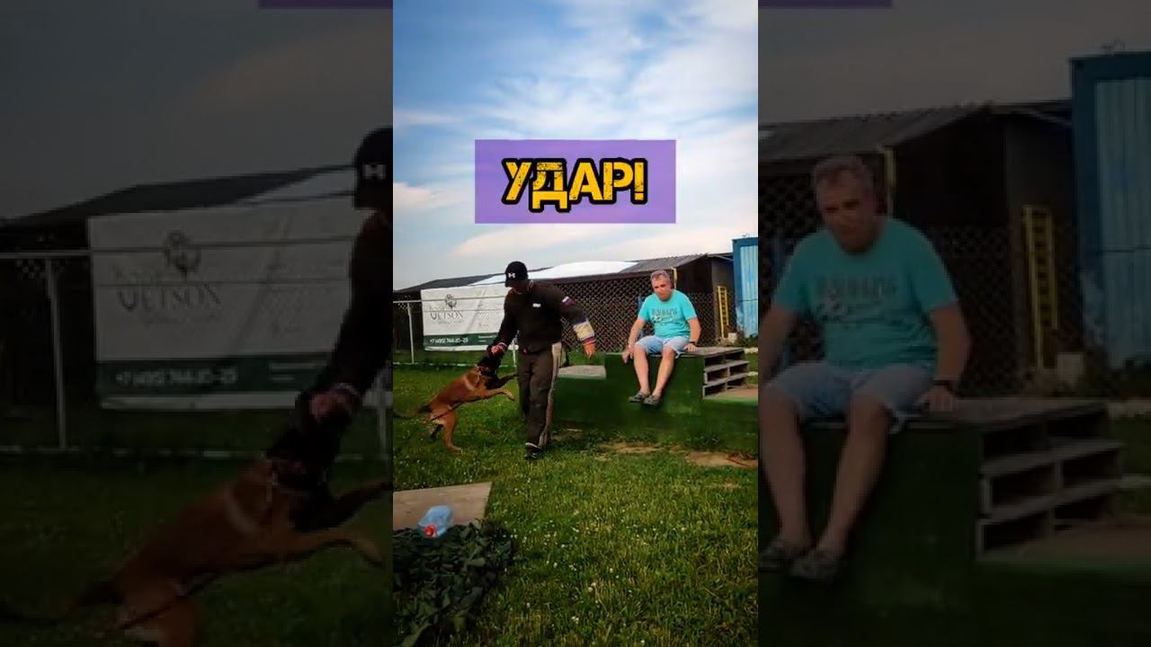 МОНДЬОРИНГ,ОХРАНА ХОЗЯИНА