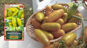 ТОМАТЫ АНТИСТРЕСС! Обзор желтых и оранжевых оригинальных сортов.