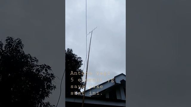 antena Yagi 5 element yg sy pake untuk ngebrik.