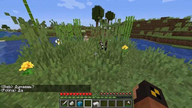 Никогда НЕ предлагай это одинокой женщине! Недосемейка в Майнкрафт смотреть онлайн