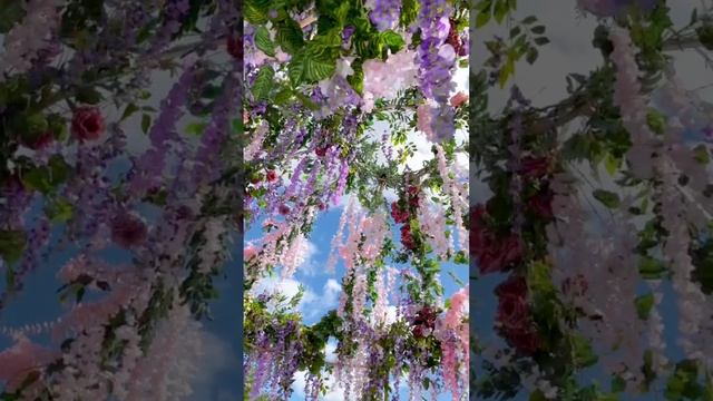 Свадебное агентство «Небо и Звёзды» ✨