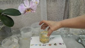 Как проверить семена перца на всхожесть