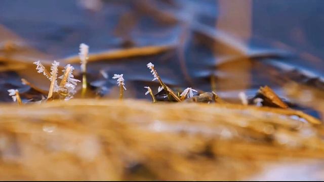 Река Белая. Самая длинная река в Башкортостане. Россия