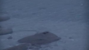 ПЕЙТЕ ЛИКОПИН В ЭТОМ РЕЦЕПТЕ И УБЕРЕЖЕТЕ СЕБЯ ОТ РАКА  19.12.2018