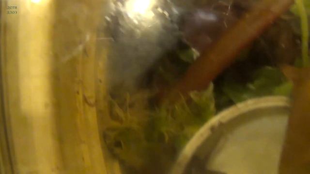 Молочная ванна смотреть онлайн