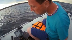 Сом на квок, горьковское водохранилище