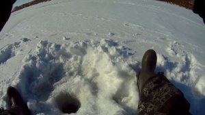 Обская сорога дает жару! Ход плотвы продолжается.