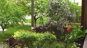 011_Карпаты_  Венгерская деревня