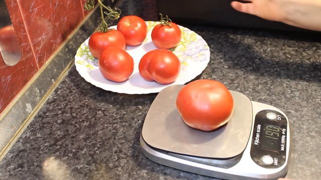 Томат " Эволюция ". смотреть онлайн