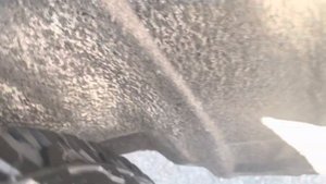 2020 Toyota RAV4 TRD Off Road new tires Went from 225/60 R18 to 235/60 R18 Wild Peaks #video #car