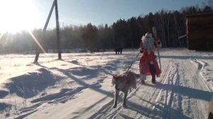 Дураки в Кутулике