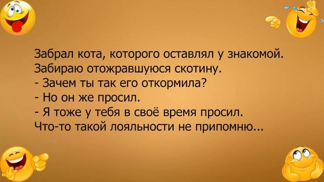 Анекдот про откормленного кота смотреть онлайн
