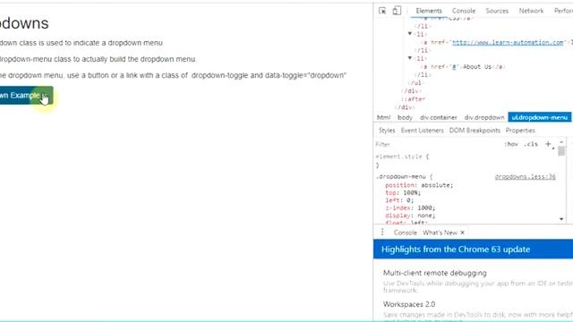 How to Handle Bootstrap Dropdown in Selenium Webdriver python