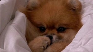 Избавление от хандры и депрессии | саблиминал #саблиминал #аффирмации