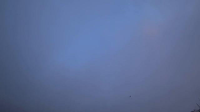 ГУСЬ 2022!!! ОХОТА НА ГУСЯ !!! КЛАССНЫЕ НАЛЕТЫ !!!! смотреть онлайн