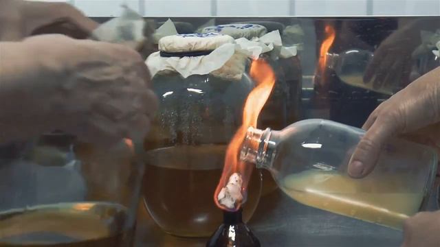 Лаборатория ООО «Биотехагро» 2020 смотреть онлайн