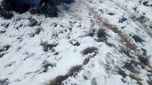 Ока на квадро колесах
