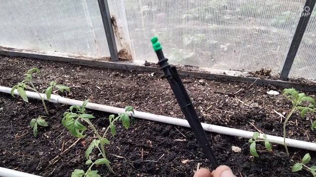 капельный полив из полипропиленовых труб своими руками смотреть онлайн
