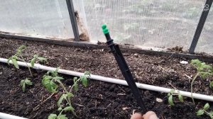 капельный полив из полипропиленовых труб своими руками