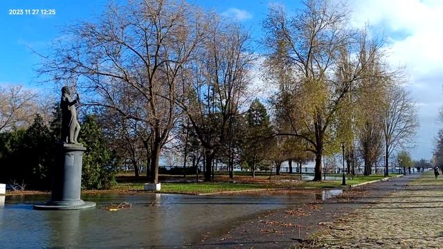 27.11.23. пн. Памятник Пушкину. смотреть онлайн