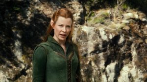 Хоббит: Пустошь Смауга