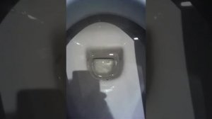 Как уберечь свой зад в общественном туалете.