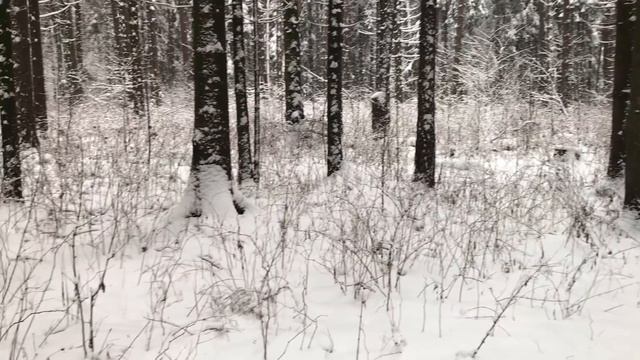 Компания отлично провела время на даче. Реальные истории из жизни. Аудио рассказы. Любовные истории