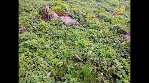 Кривандинские мегалиты