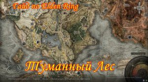 Гайд по Elden Ring. Туманный лес.
