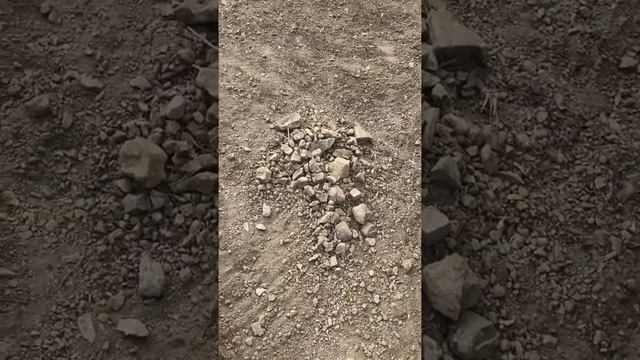 Делаем дорожки и оформляем огород. смотреть онлайн