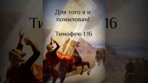 Но помилован потому, что так поступал по неведению, в неверии! 1Тим 1:13: