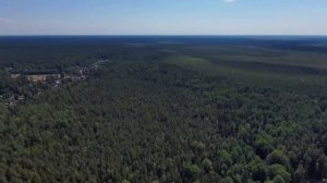 Tamengont (таменгонт)