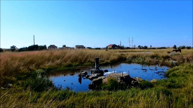 Крым без воды и умерший заказник. Астанинские плавни превратились в солончак