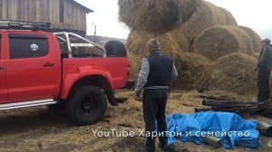 В будки собакам нужно стелить солому