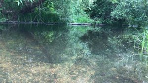 #футаж Речка летом, тихое течение