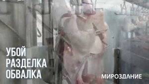 Линия разделки птицы. Разделка и обвалка курицы