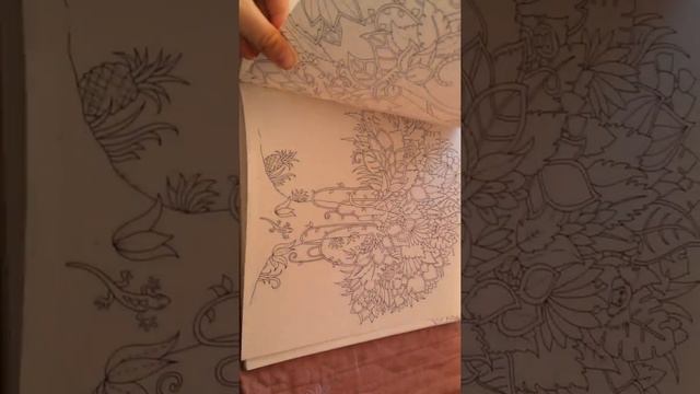 Обзор моей раскраски «удивительные джунгли» смотреть онлайн