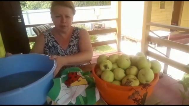 ЗАМОРОЗКА ЯБЛОК ДЛЯ ШАРЛОТКИ / МОРОЗИТЕ ЛИ ВЫ ЯБЛОКИ??? ДЕЛАЮ ЭТО ВПЕРВЫЕ