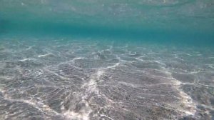 МОРСКОЙ ДРАКОН Опасные рыбы Средиземного Моря Крит Элафониси Sea Dragon Dangerous